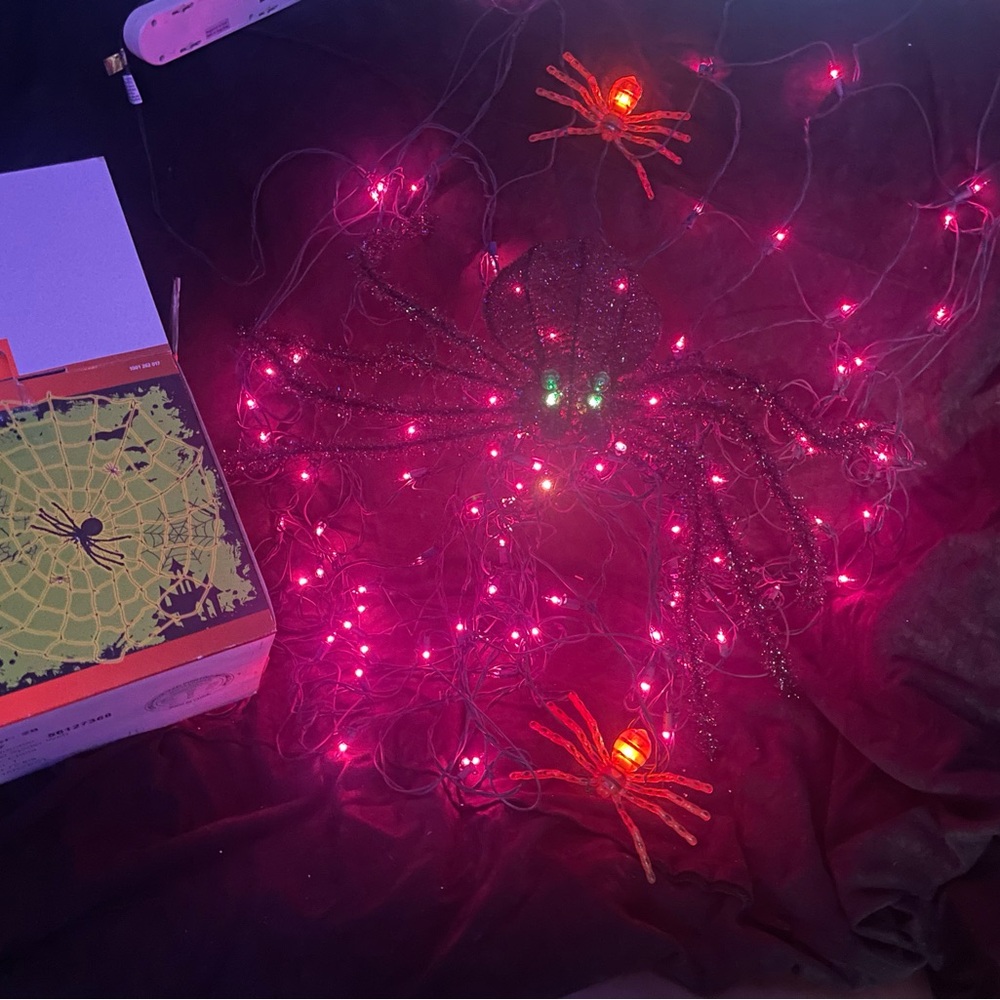 Lighted spider web